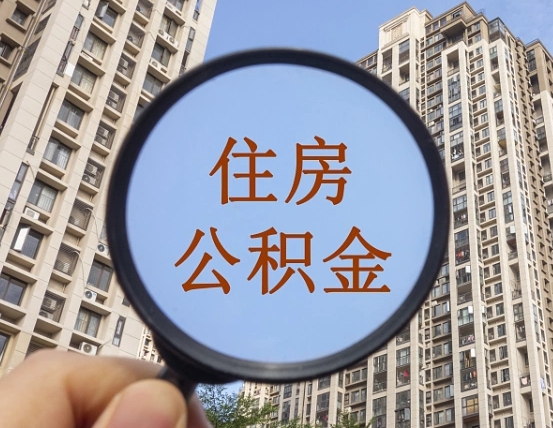 宁波退休后查不到公积金明细了吗（退休后公积金查询不到原因）